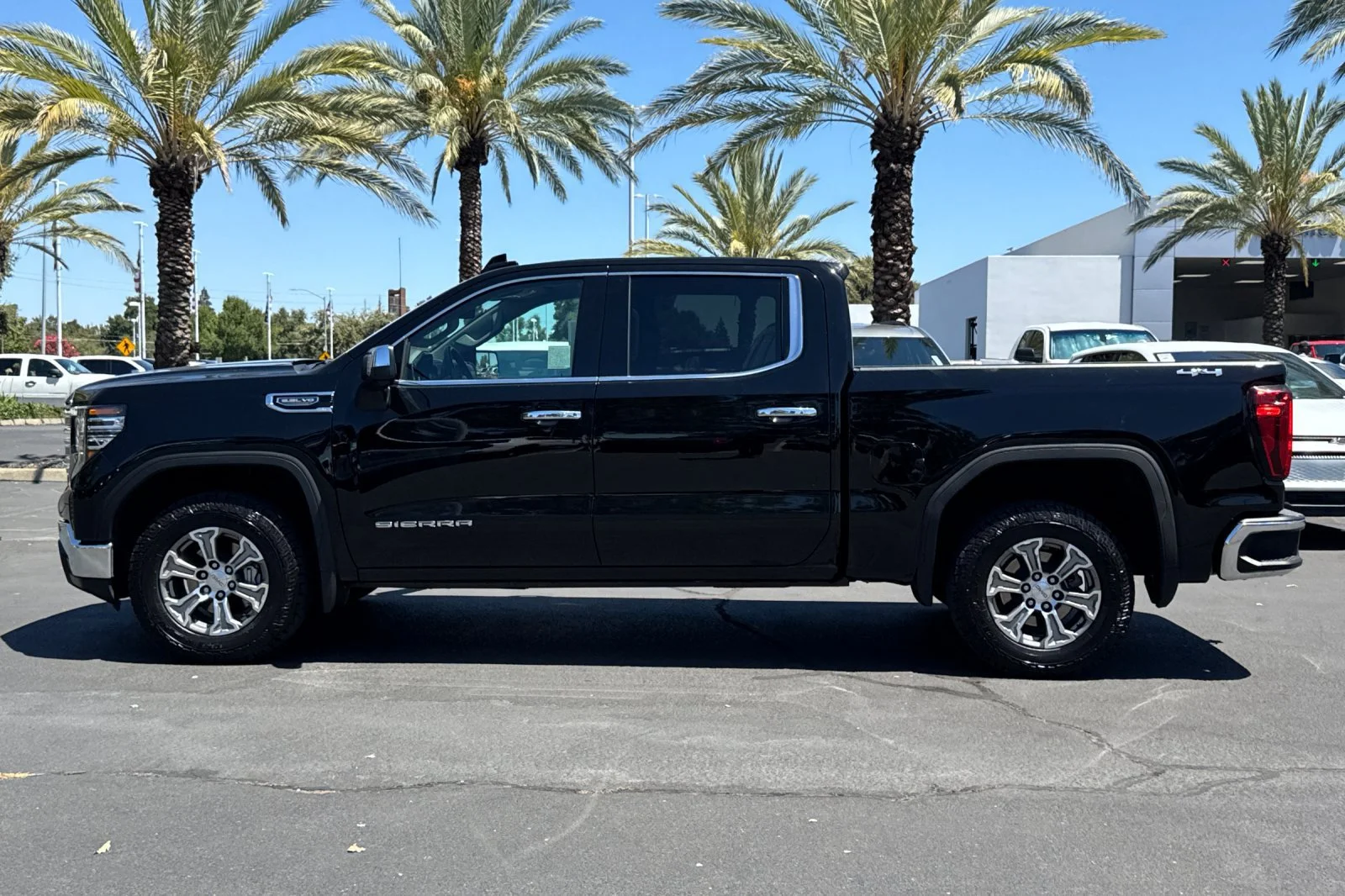 2025 GMC Sierra 1500 SLT - Photo 6