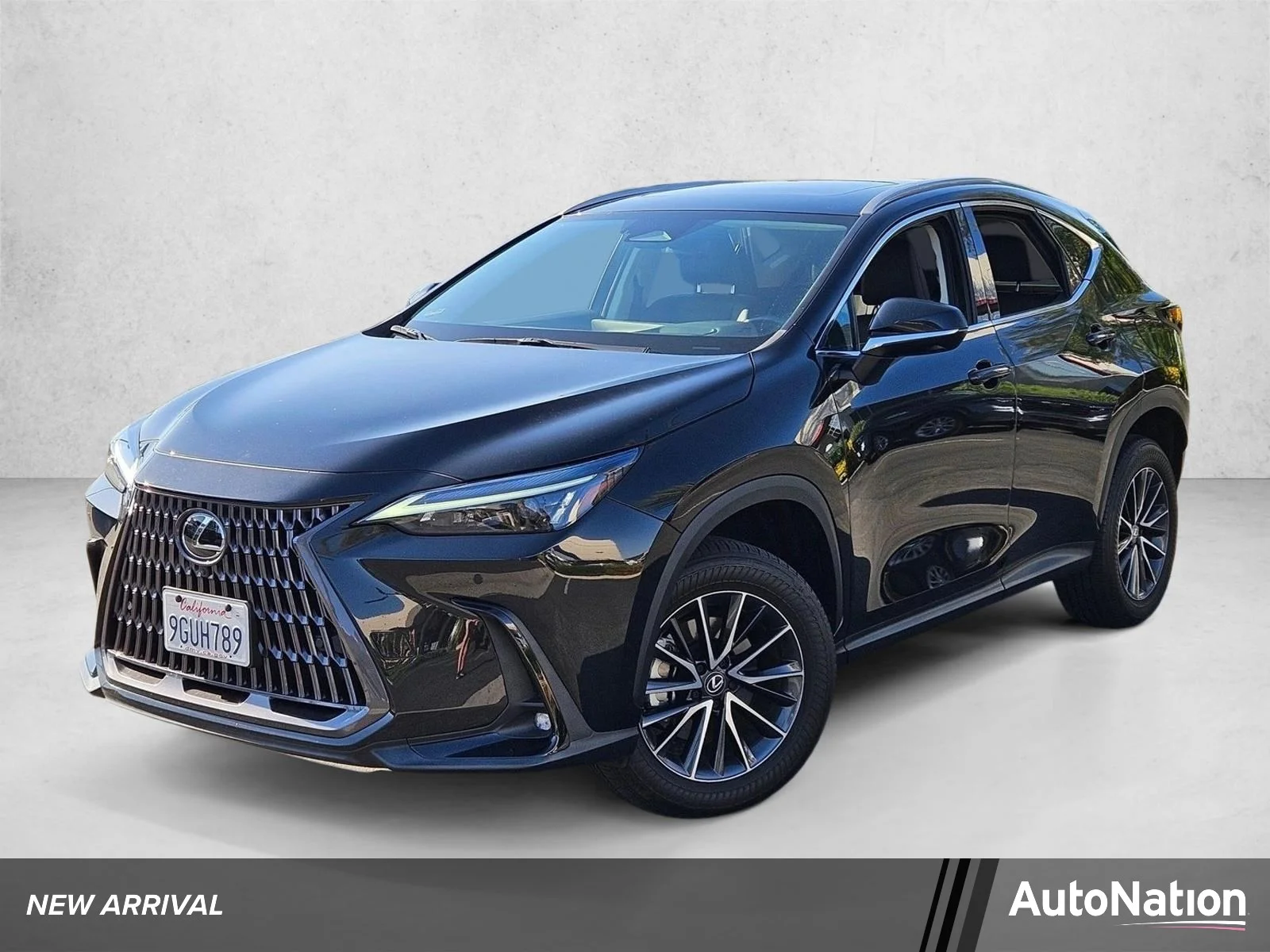 2024 Lexus NX 350 350 Premium AWD's photo