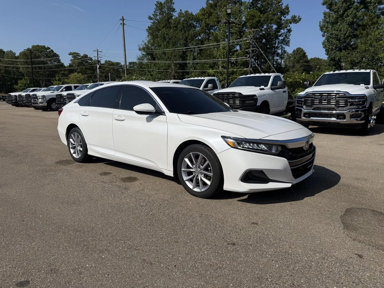Used 2021 Platinum White Pearl Honda LX image 3