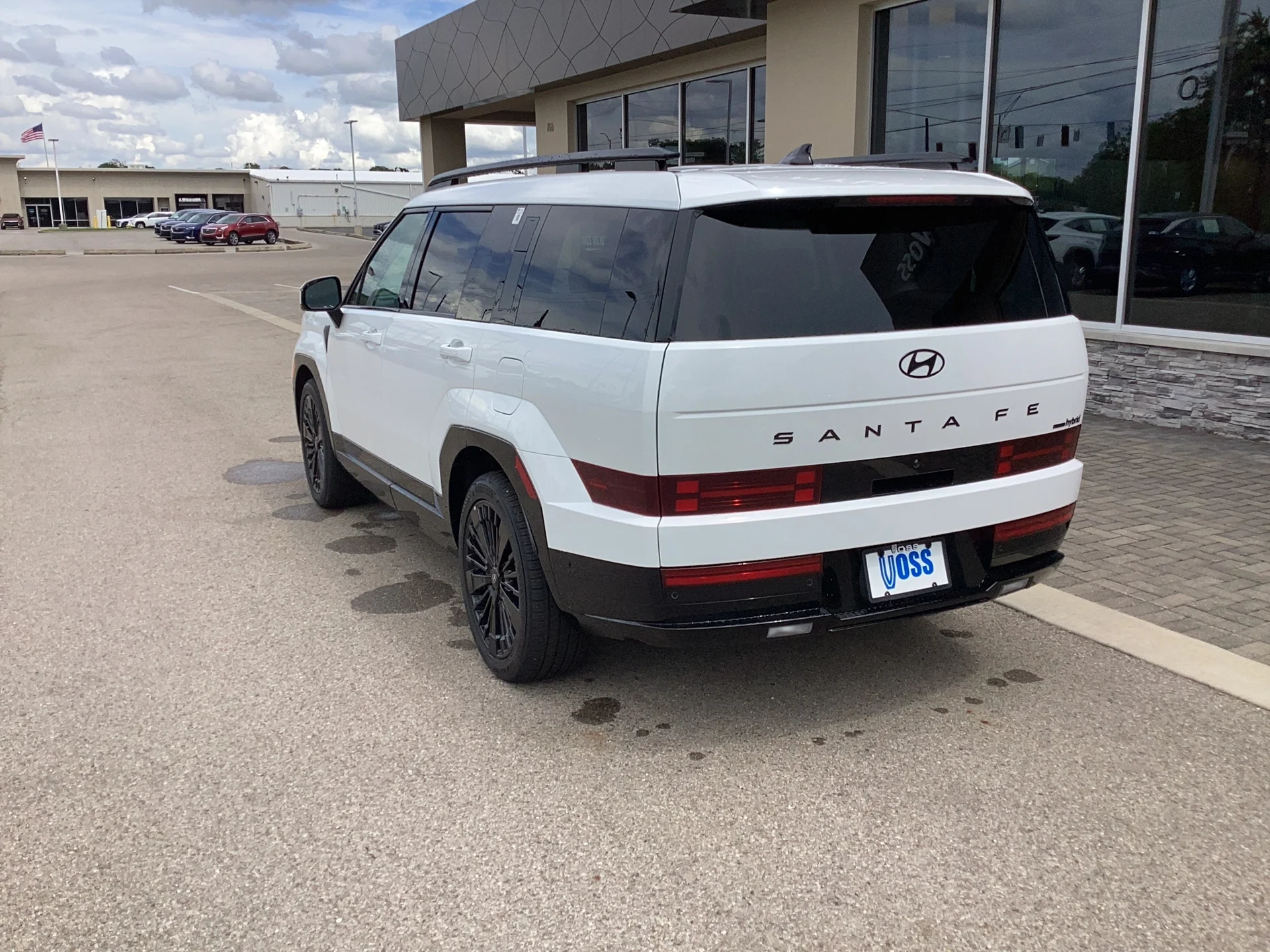 New 2026 Serenity White Pearl Hyundai Calligraphy image 13