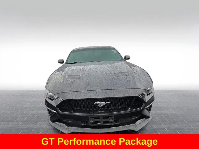 Used 2019 Black Ford GT Premium image 2