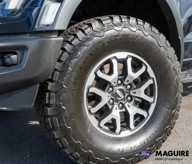 2023 Ford F-150 Raptor - Photo 10