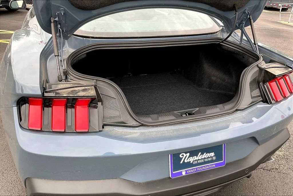 2025 Ford Mustang EcoBoost Fastback - Photo 27