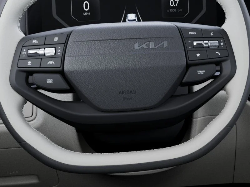 New 2026 Panthera Metal Kia SX Prestige image 22