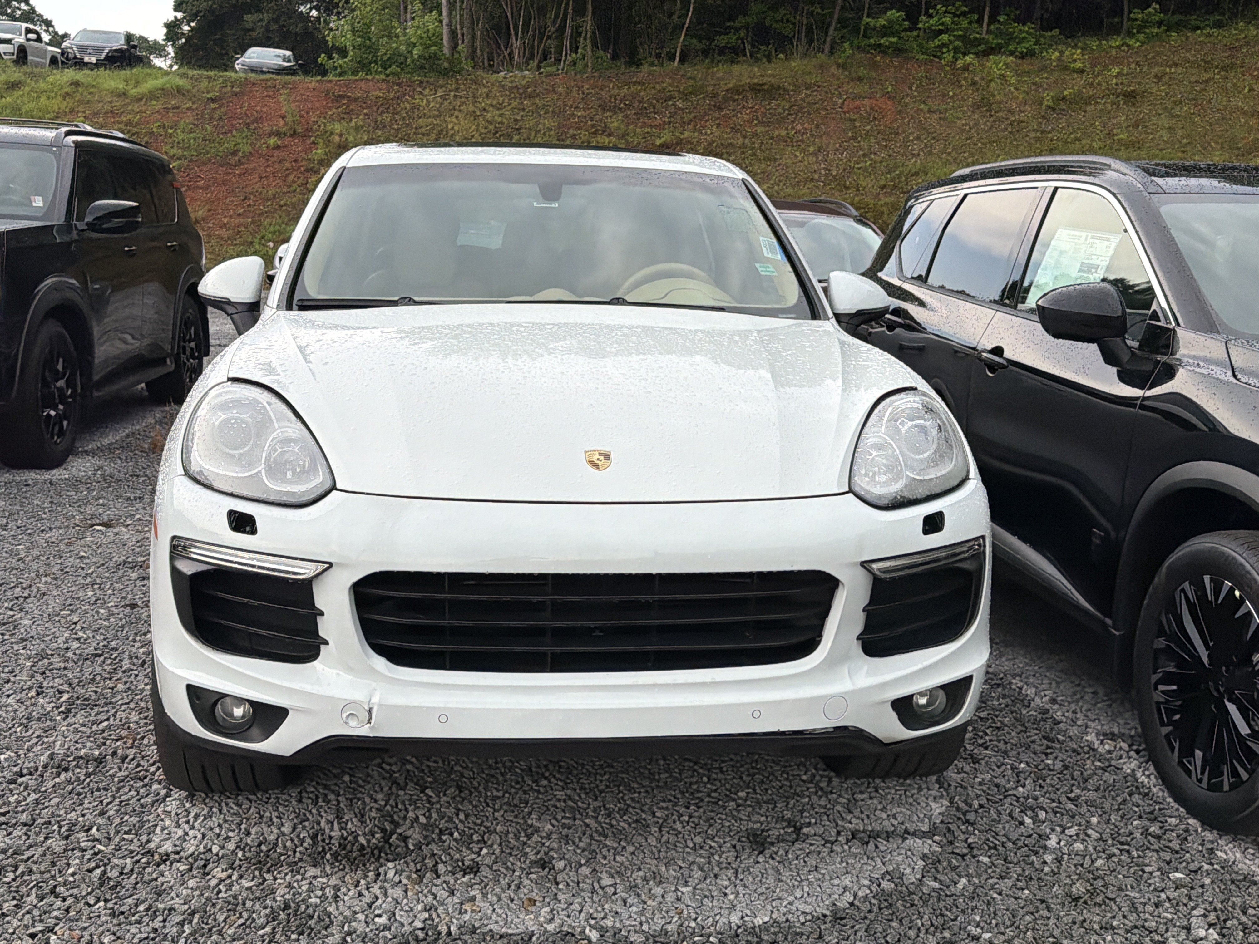 Used 2017 White Porsche Platinum Edition image 2