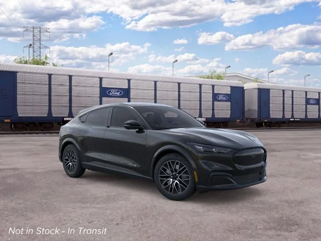 New 2026 Shadow Black Ford Premium image 7