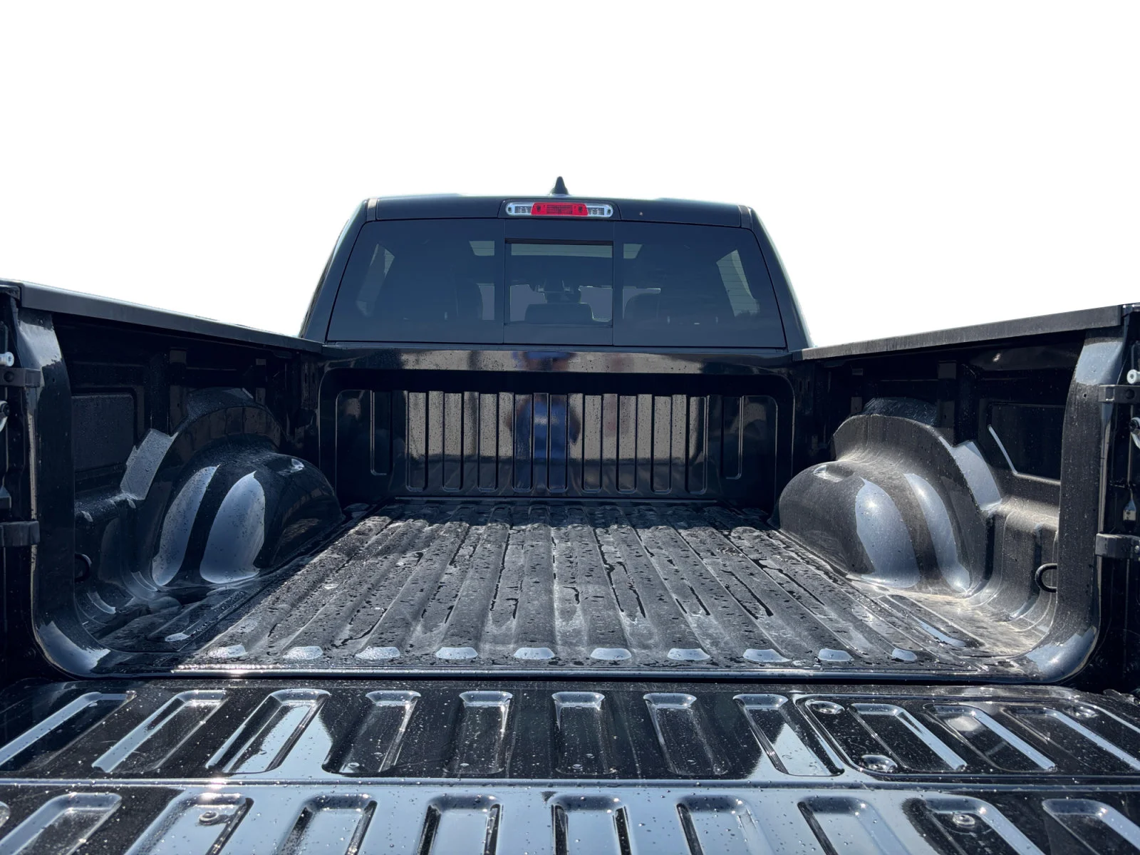 New 2026 Diamond Black Crystal Pearl Ram Rebel image 19