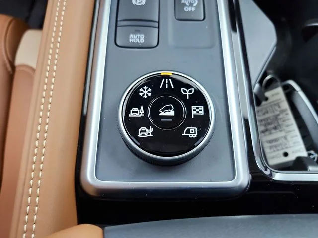 New 2026 Black Nissan Platinum image 31
