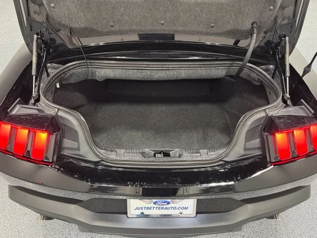 Used 2024 Black Ford EcoBoost Premium image 34