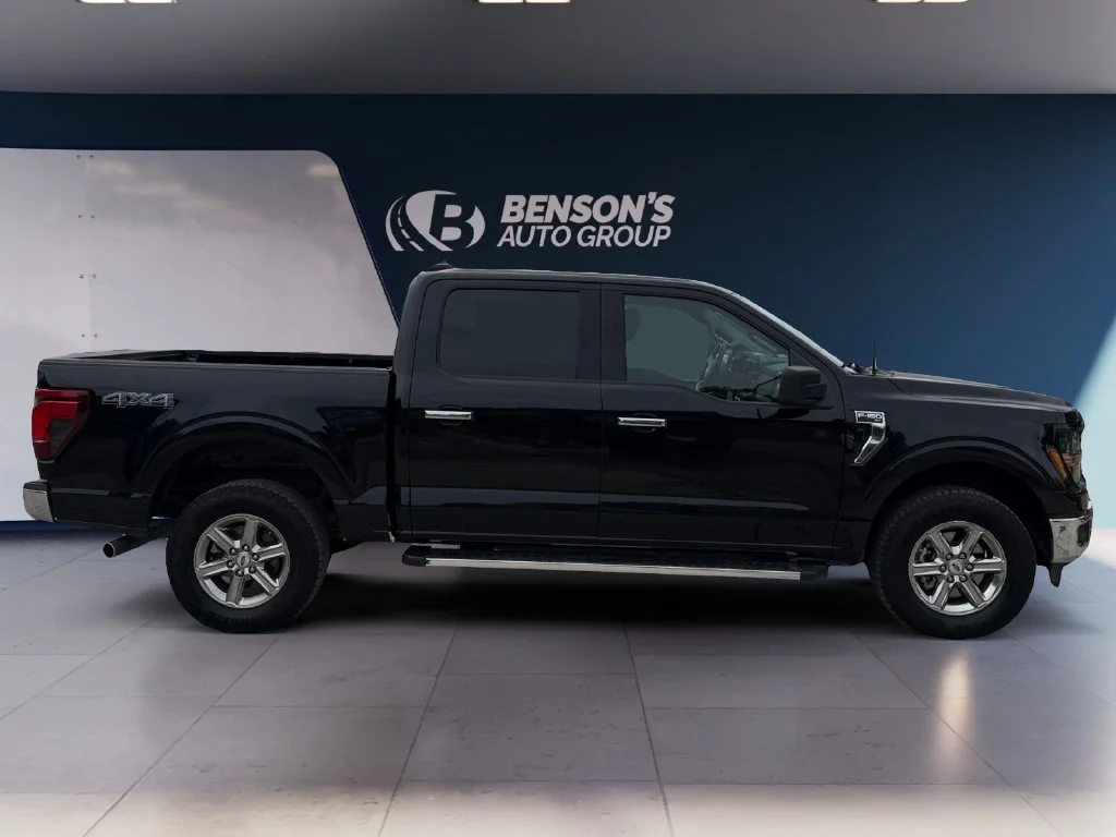 2025 Ford F-150 XLT - Photo 6