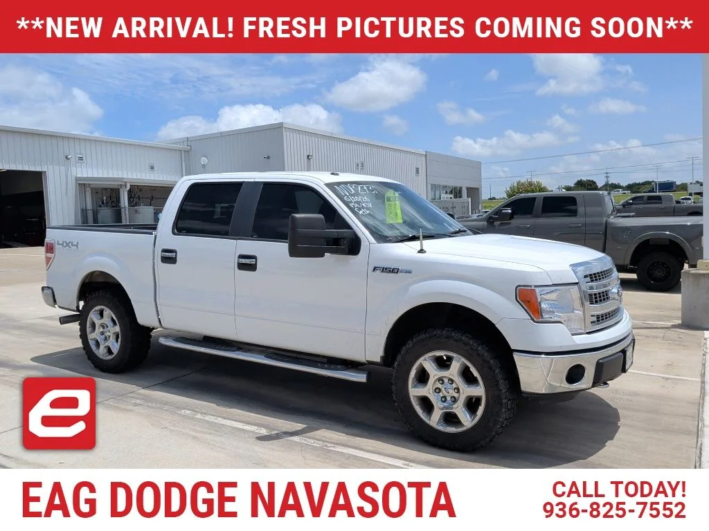 Used 2014 White Ford XLT image 1