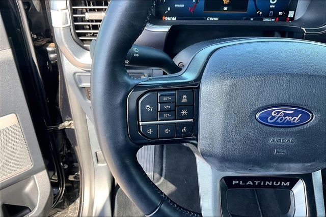 Used 2025 Black Ford Platinum image 15
