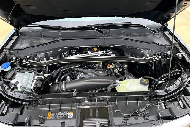 New 2026 Black Ford Platinum image 13