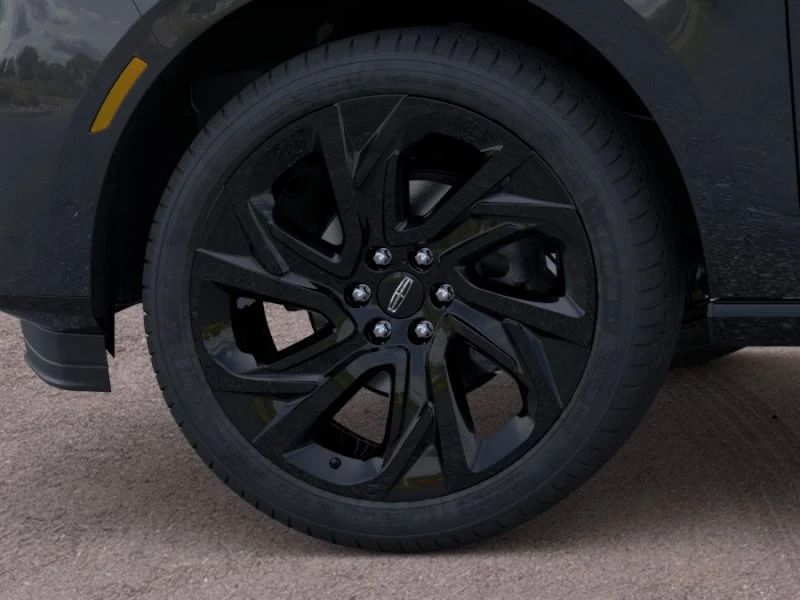 New 2026 Starlight Gray Premium Colorant Lincoln Black Label image 19