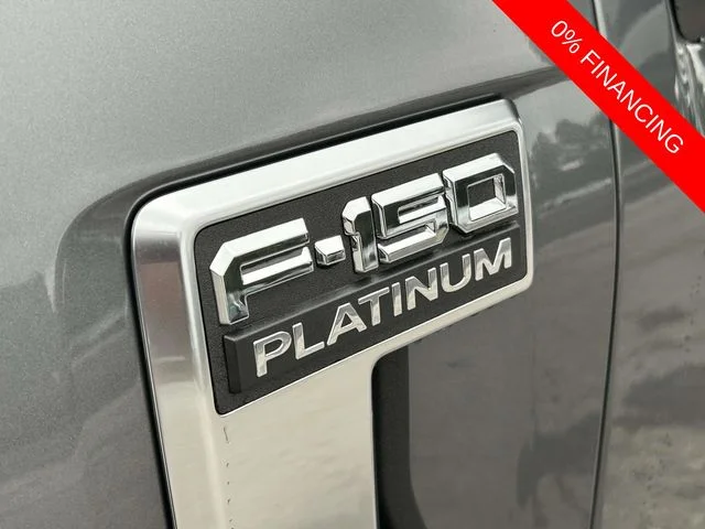 New 2026 Gray Ford Platinum image 7