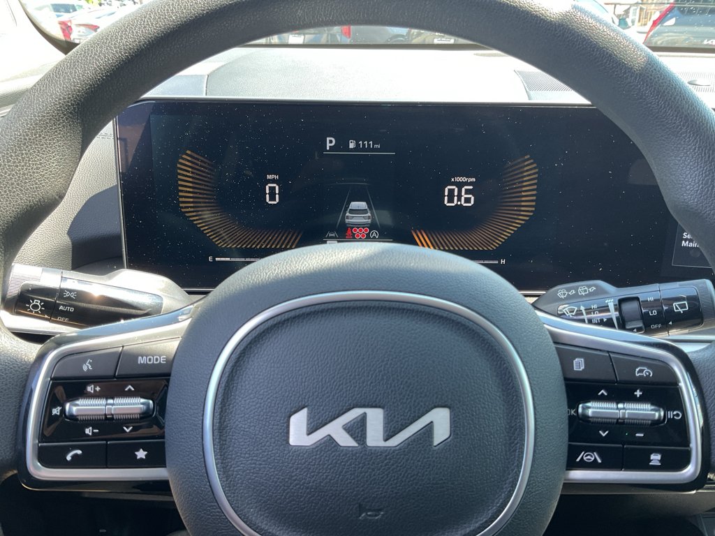 Used 2025 Panthera Metal Kia LX image 30