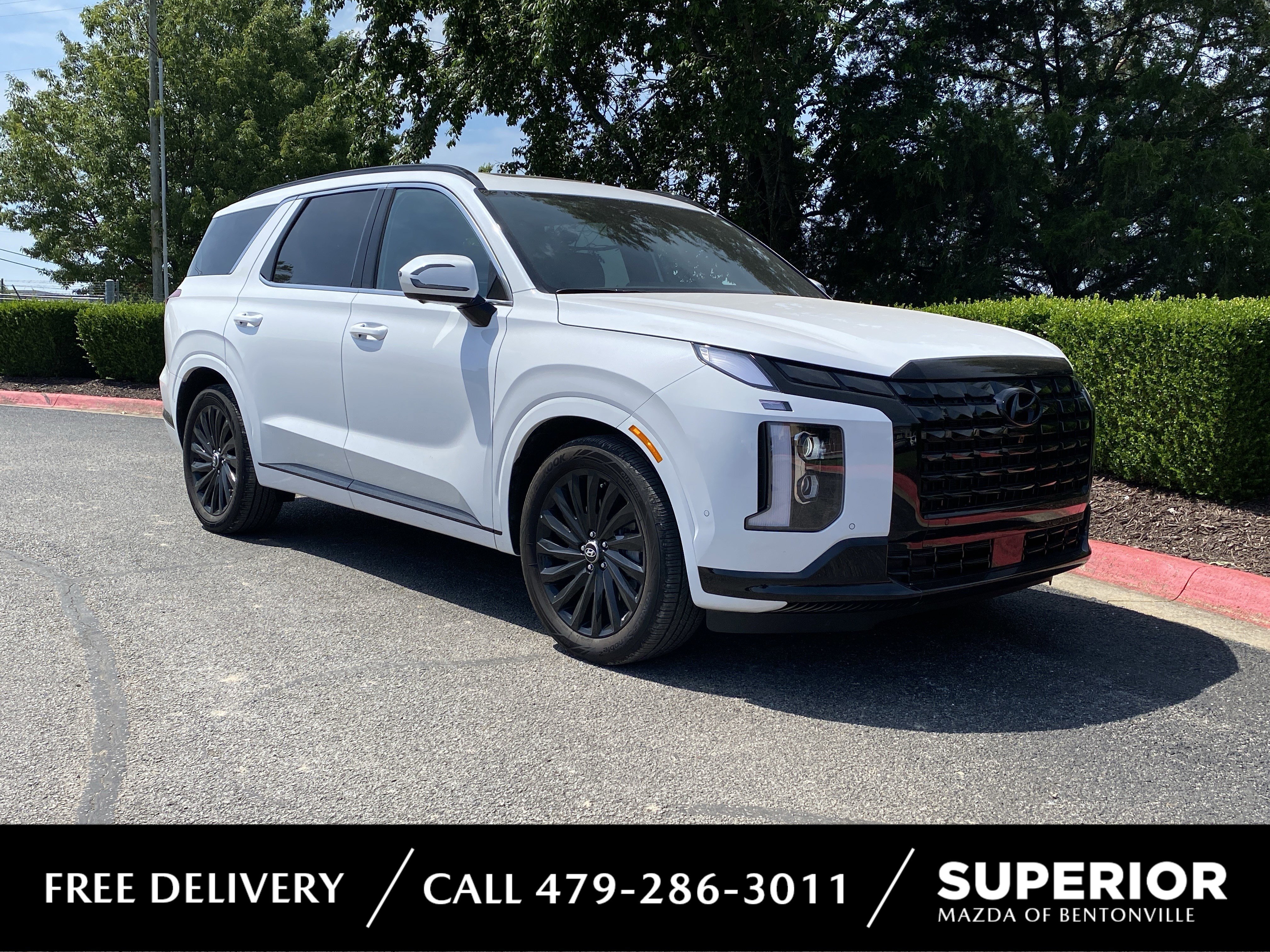 2025 Hyundai Palisade Calligraphy Night Edition AWD's photo