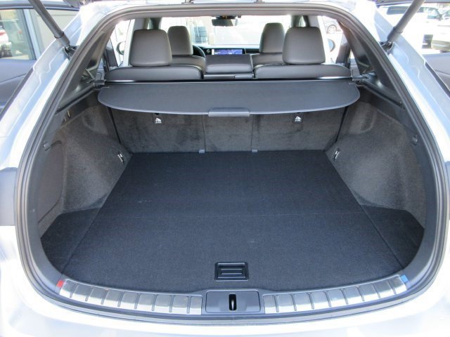 New 2026 Iridium Lexus PREMIUM PLUS image 56