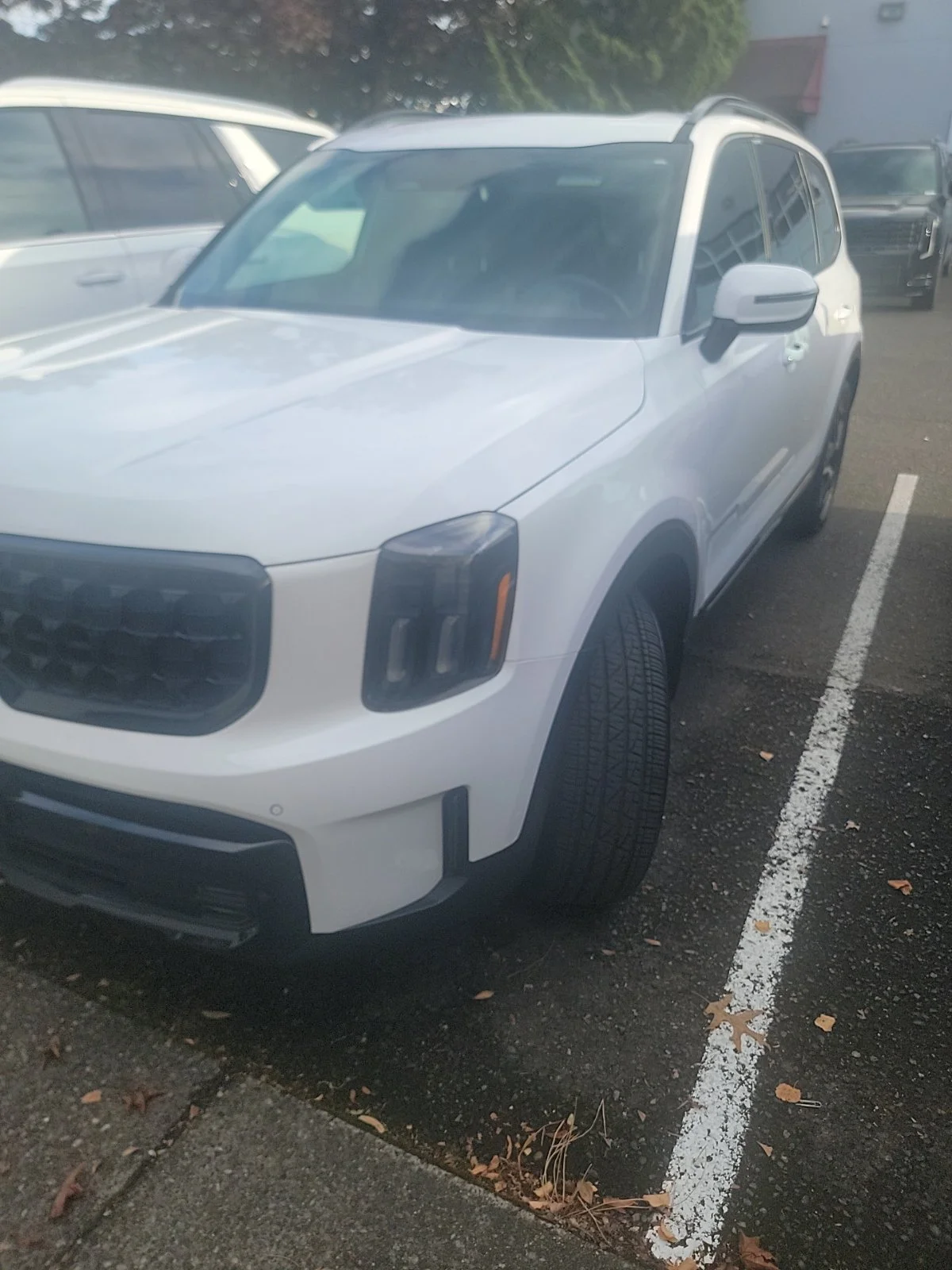 Used 2024 White Pearl Kia SX X-Line image 1
