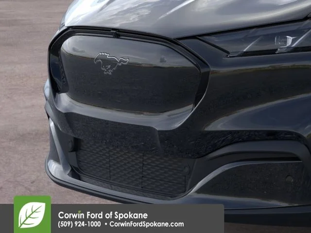New 2026 Shadow Black Ford Premium image 17