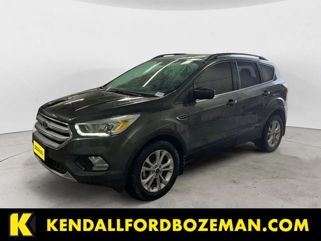 2017 Ford Escape SE's photo