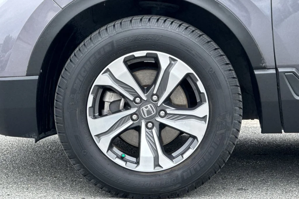 Used 2019 Gray Honda LX image 27