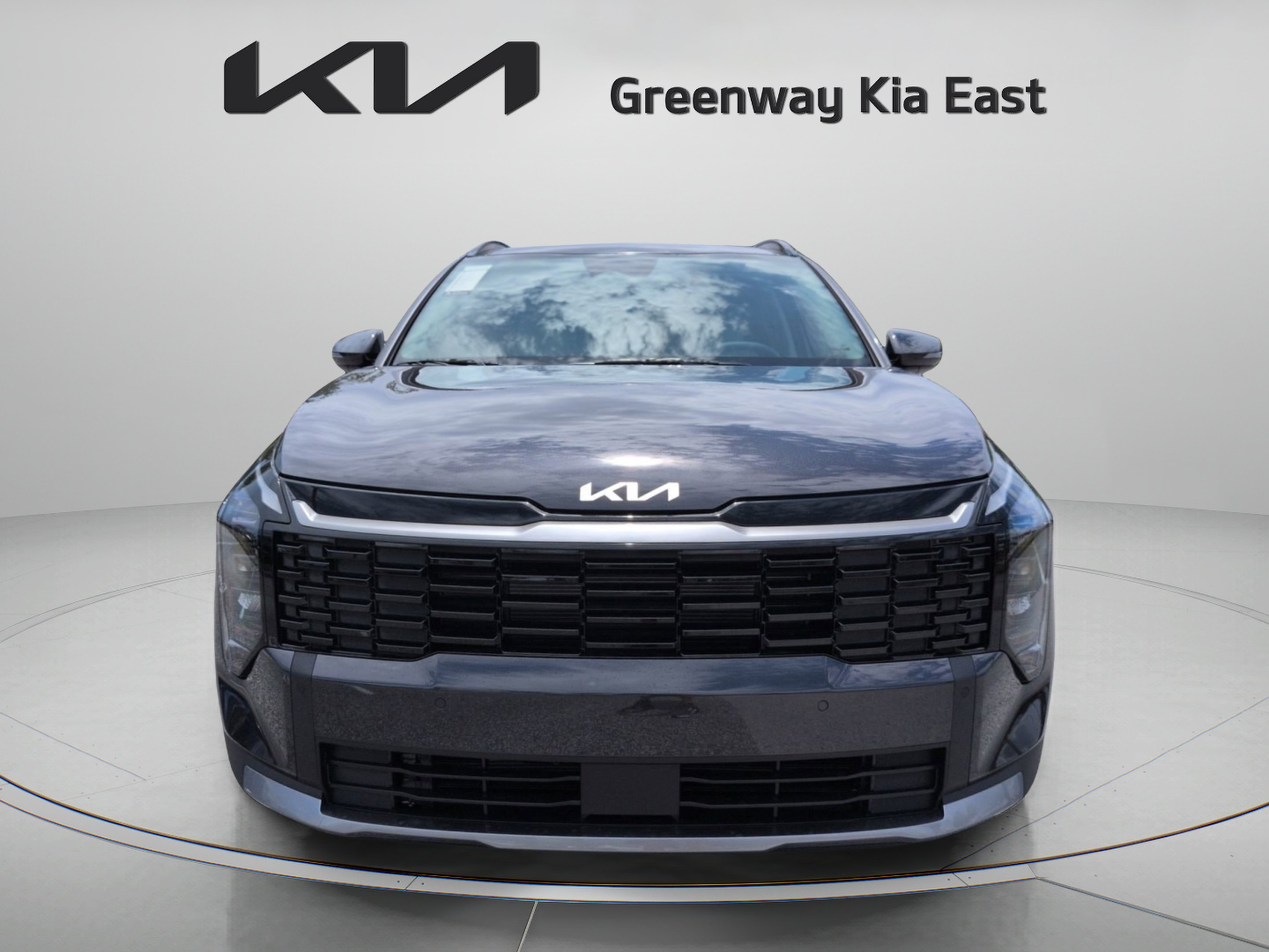 New 2026 Panthera Metal Gray Kia EX image 20
