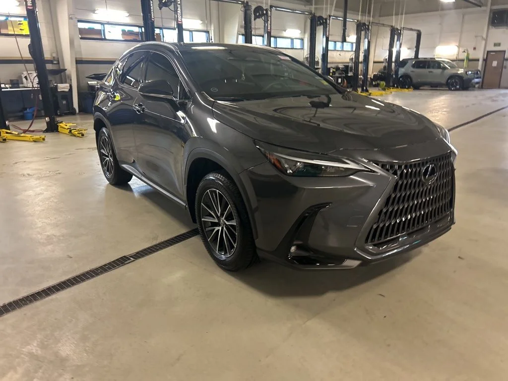2025 Lexus NX 350 350 Premium AWD's photo