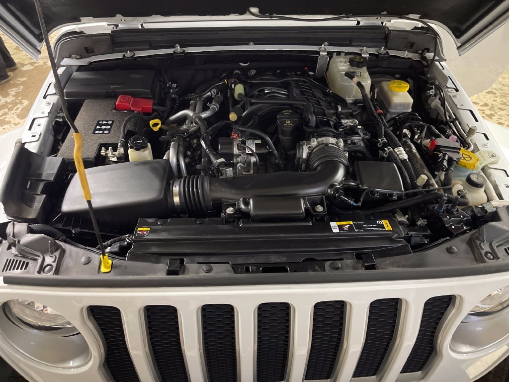 Used 2023 White Jeep Sahara image 10