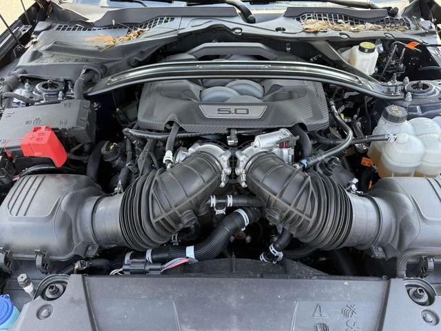 Used 2025 Blue Ford Dark Horse image 13