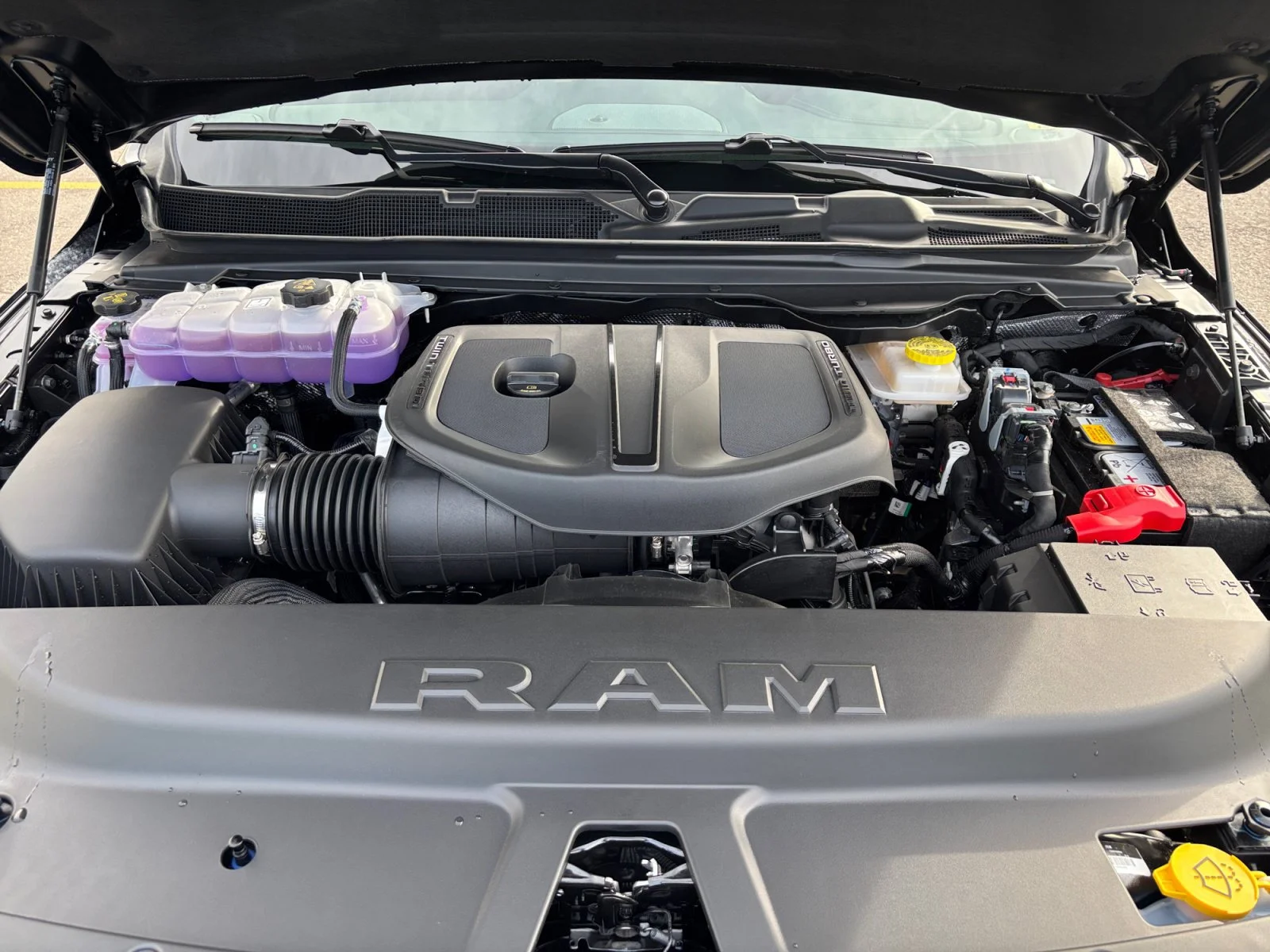 New 2027 Diamond Black Crystal Pearl Ram Rebel image 20