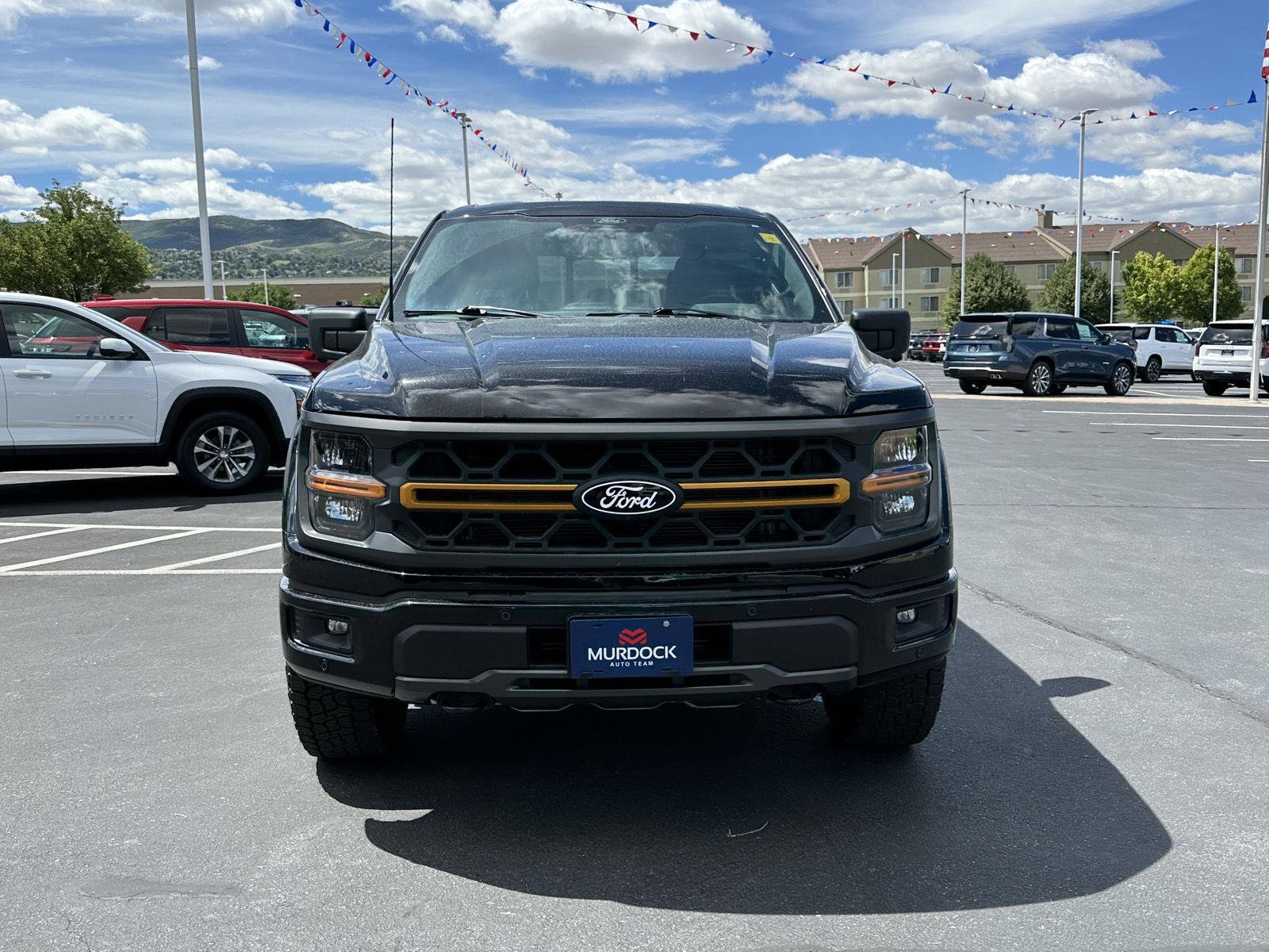 2025 Ford F-150 Tremor - Photo 12