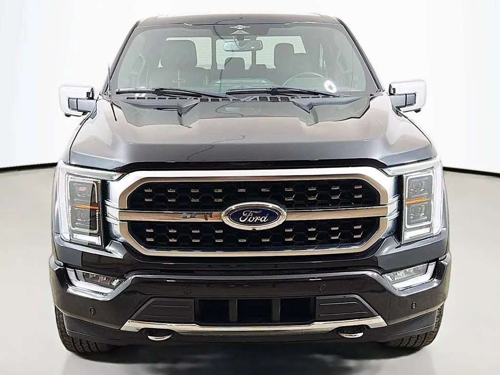 Used 2023 Agate Black Metallic Ford Platinum image 14