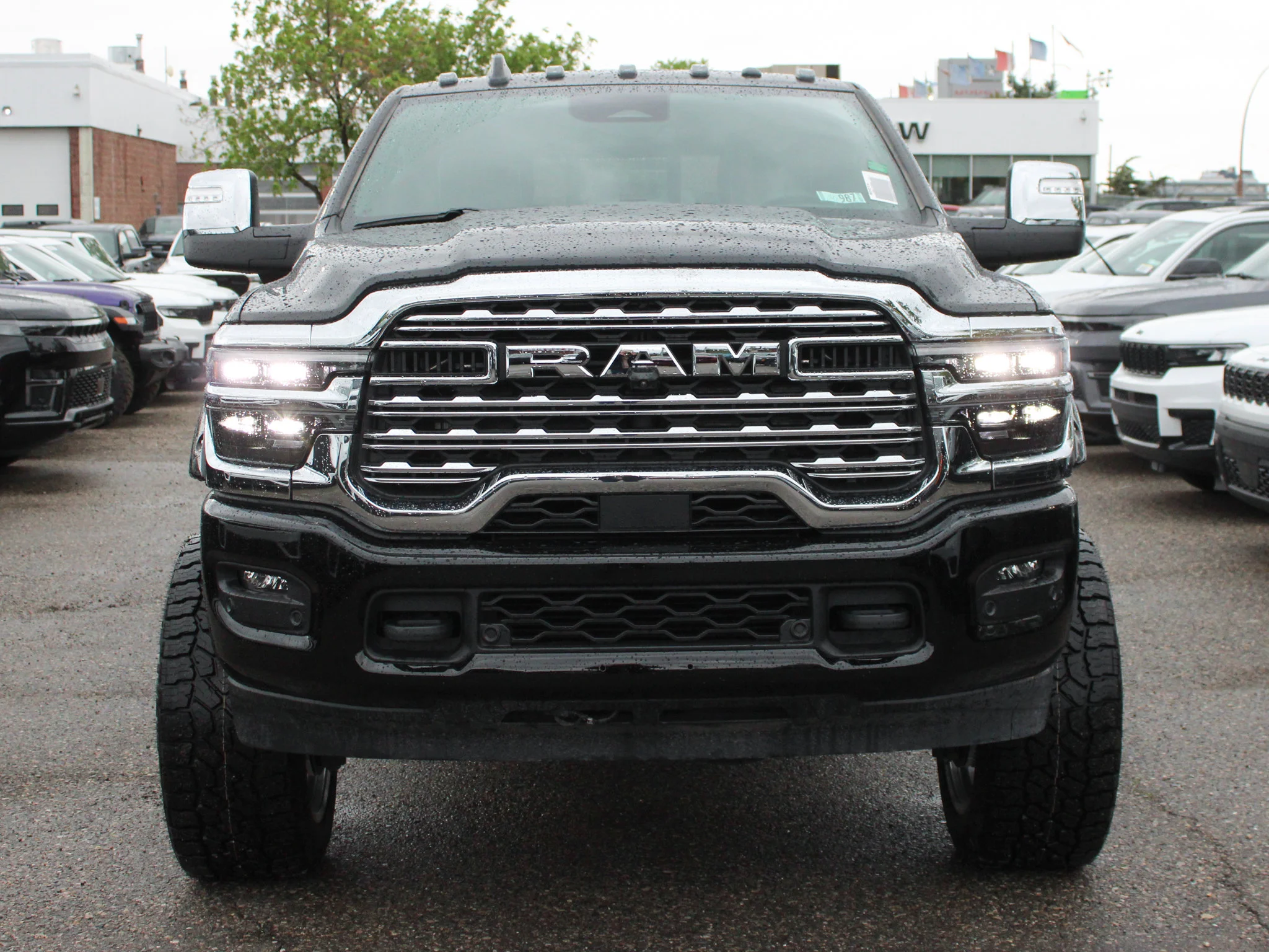 New 2026 Black RAM Limited* image 13
