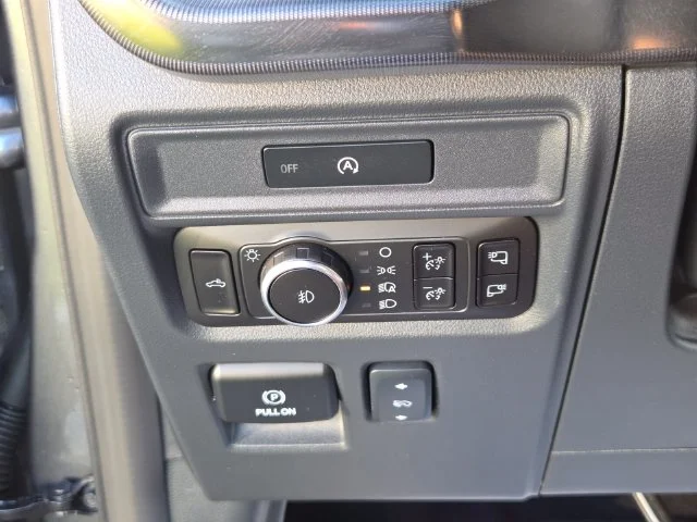 Used 2025 Gray Ford Platinum image 29