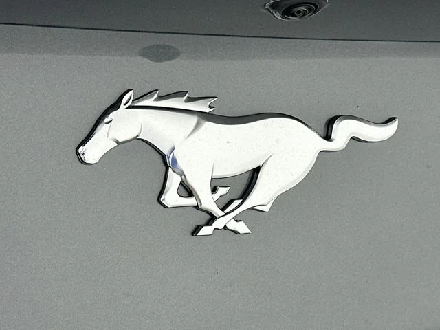 New 2026 Gray Ford EcoBoost image 21