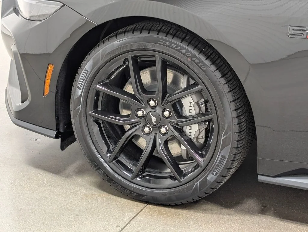 New 2026 Shadow Black Ford GT Fastback image 2