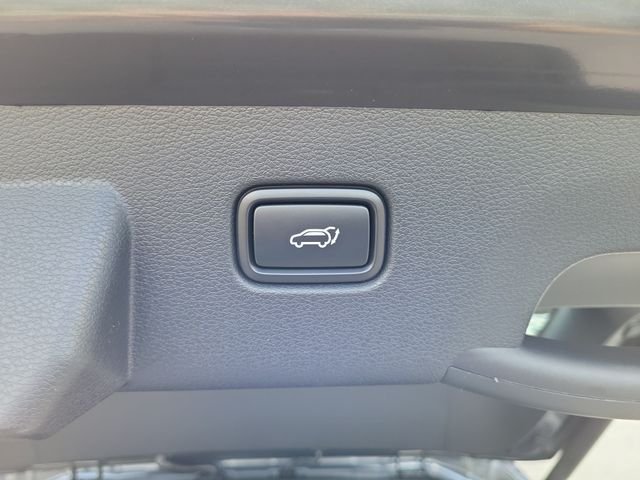 New 2026 Panthera Metal Gray Kia EX image 15