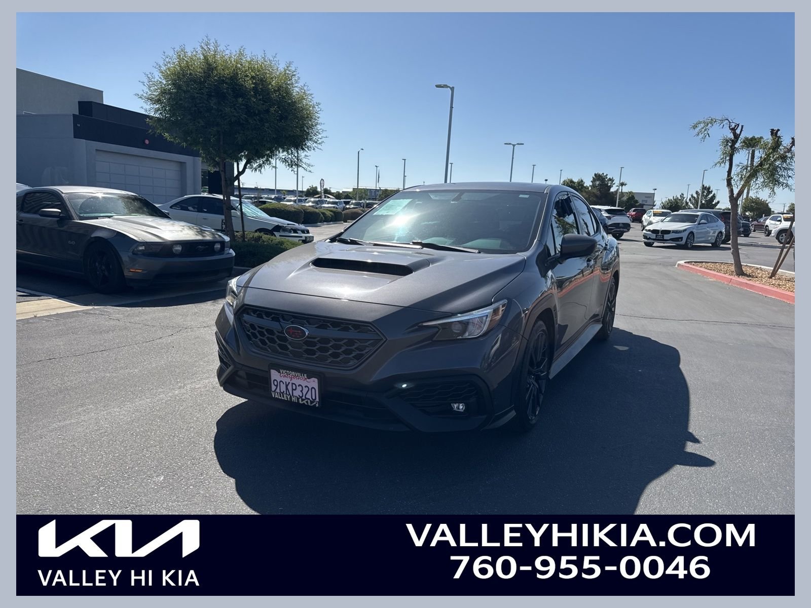 2022 Subaru WRX Premium's photo