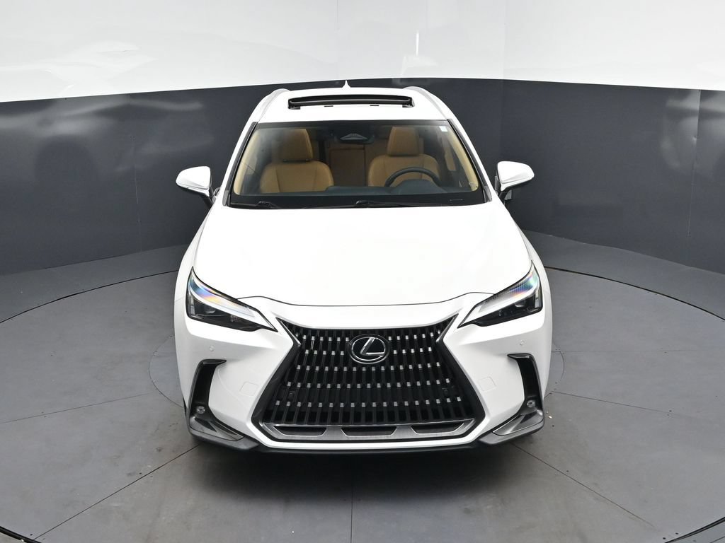 2025 Lexus NX 350 - Photo 37