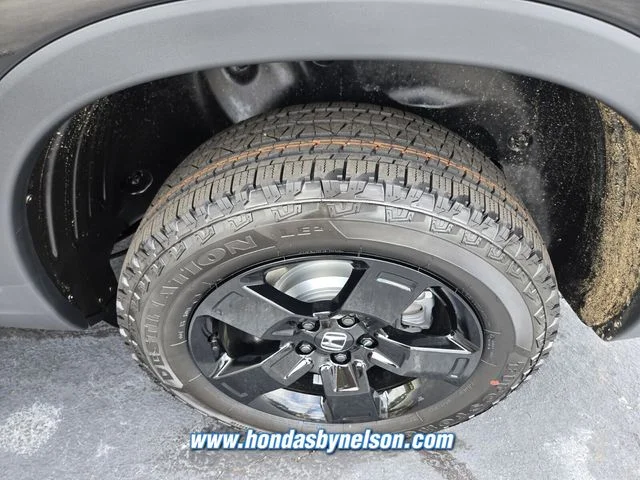 New 2026 Black Honda Black Edition image 8