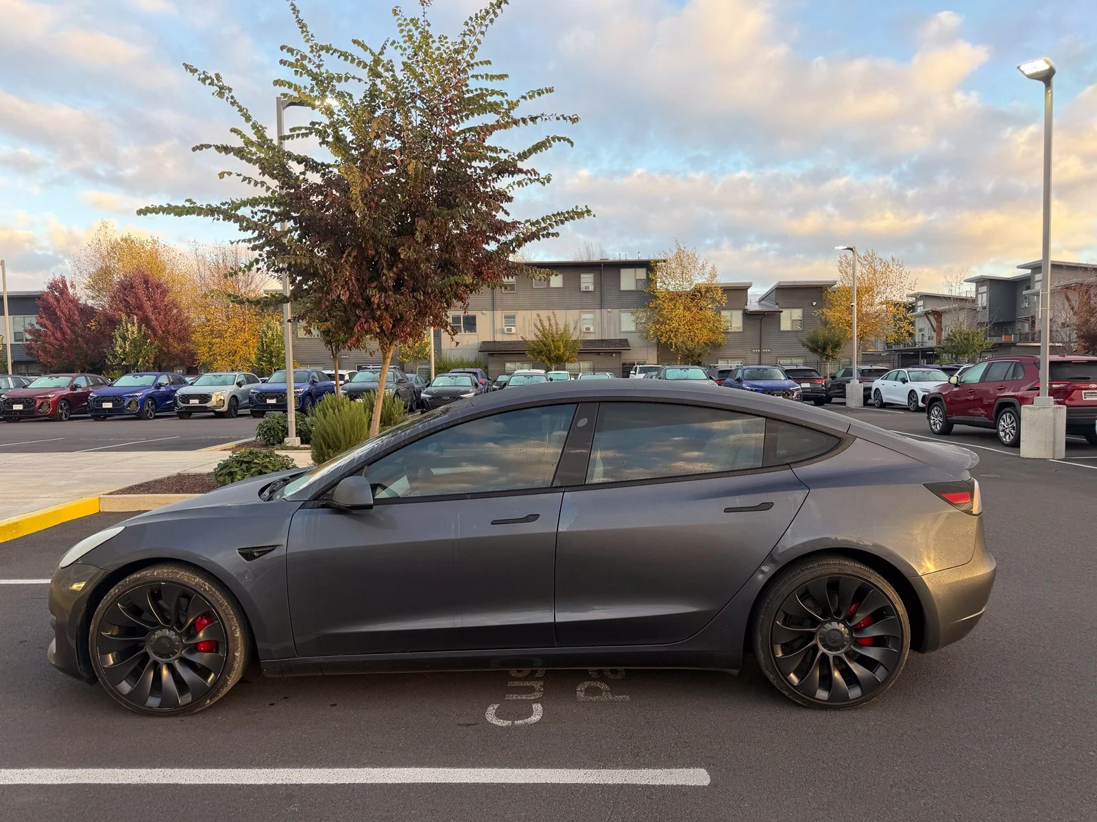 Used 2023  Tesla Performance image 2