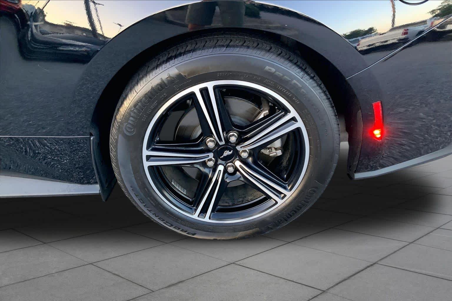 Used 2025 Shadow Black Ford EcoBoost image 10
