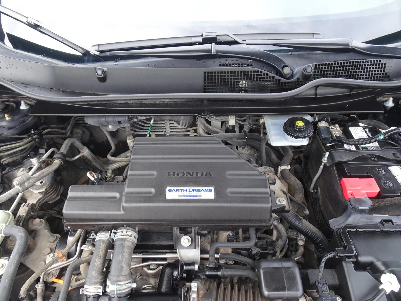 Used 2021 Crystal Black Pearl Honda 2WD LX image 26