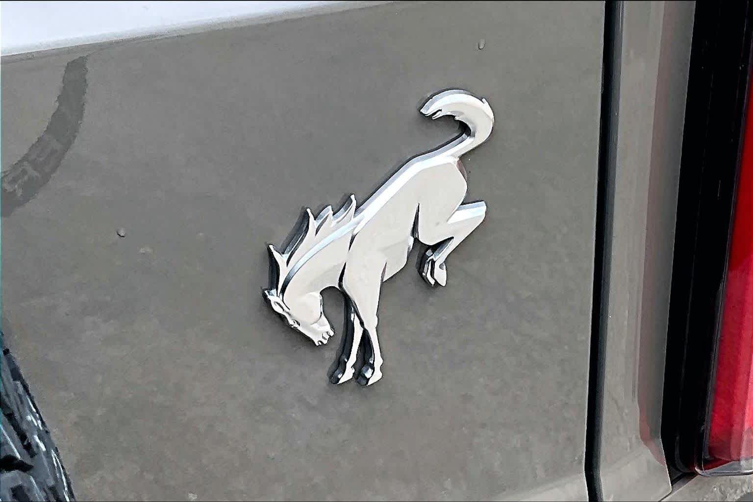 Used 2025 Marsh Gray Ford Outer Banks image 10