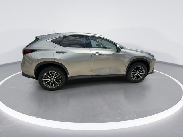 2023 Lexus NX 350 - Photo 8