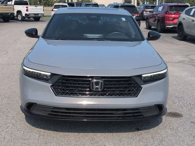 Used 2024 Gray Honda Sport-L image 8