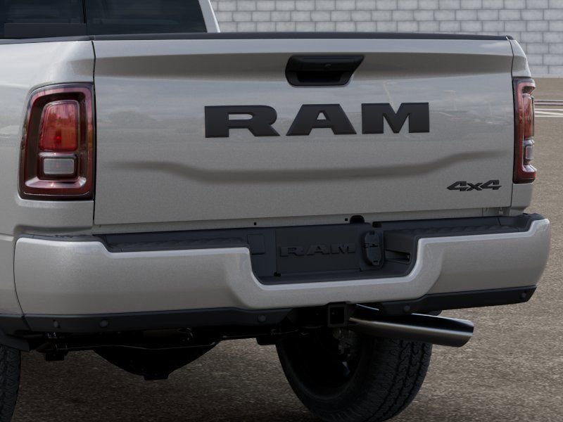 New 2026 Silver-Zynith Exterior Paint RAM Black Express image 13