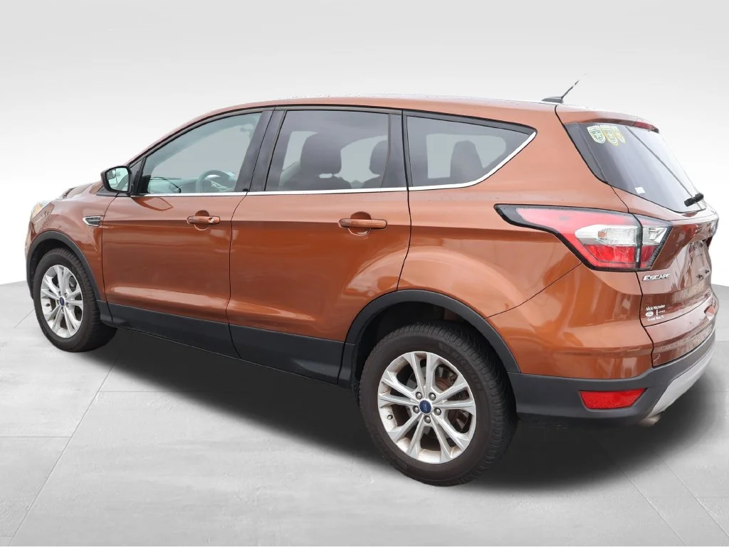 Used 2017 Canyon Ridge Metallic Ford SE image 21