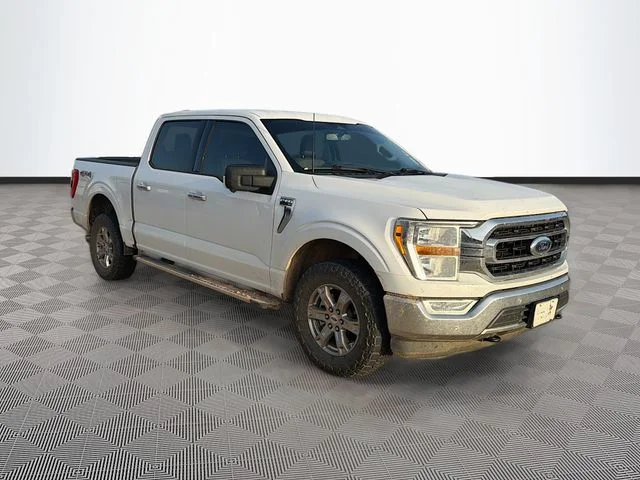 Used 2023 White Ford XLT image 1